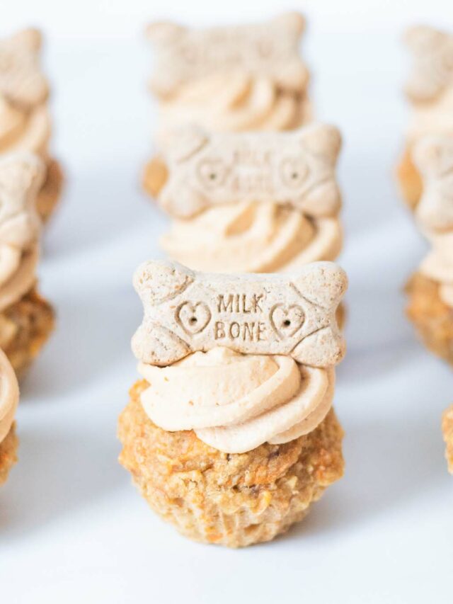 peanut-butter-dog-birthday-cake-beyond-the-noms