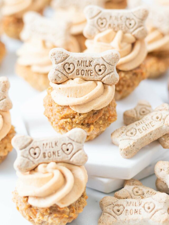 Peanut Butter Banana Dog Cupcakes BEYOND THE NOMS